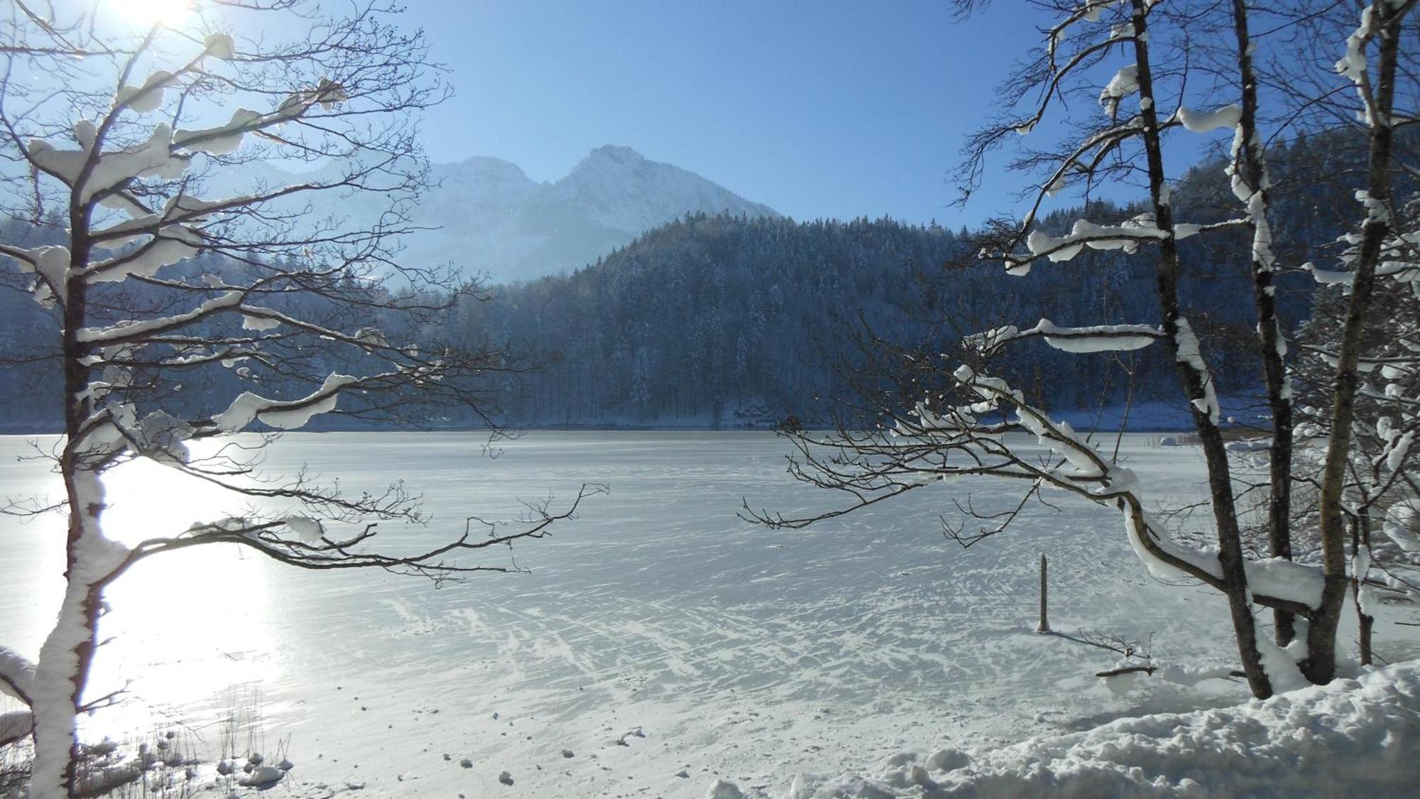 Апартаменти Fw Weissensee 44 Фюссен Екстер'єр фото